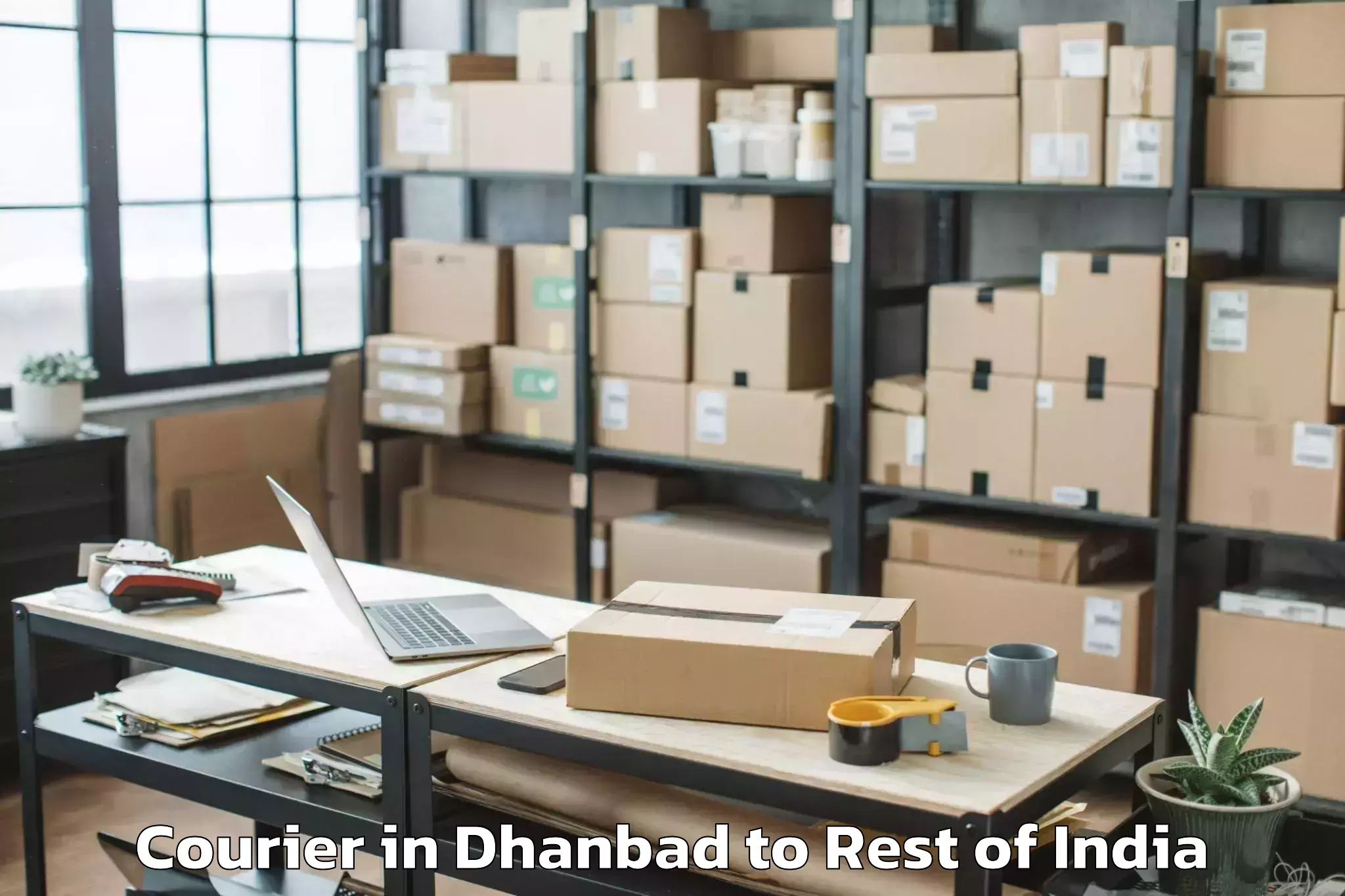 Leading Dhanbad to Srinagar Airport Sxr Courier Provider